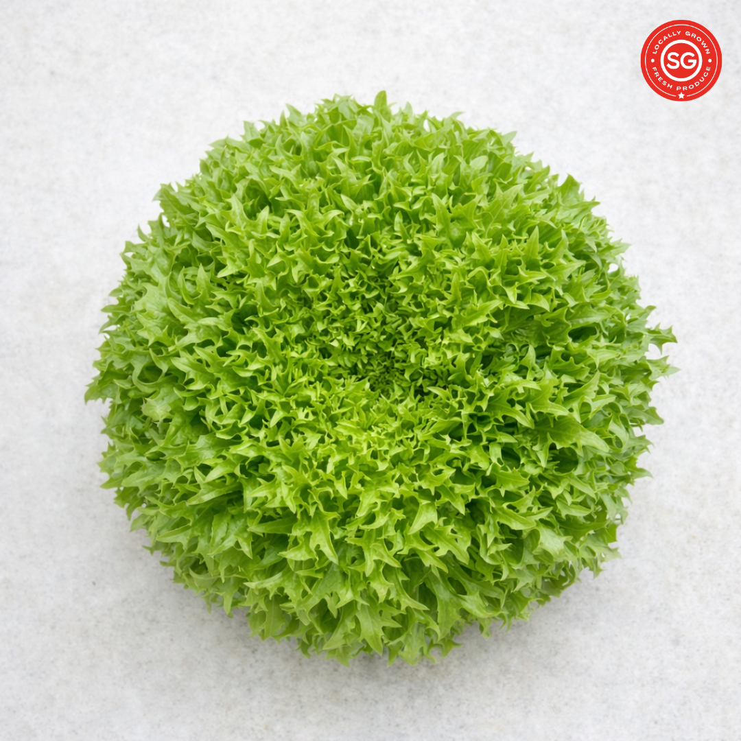 Excentric Green Crisp Lettuce (120g)_0