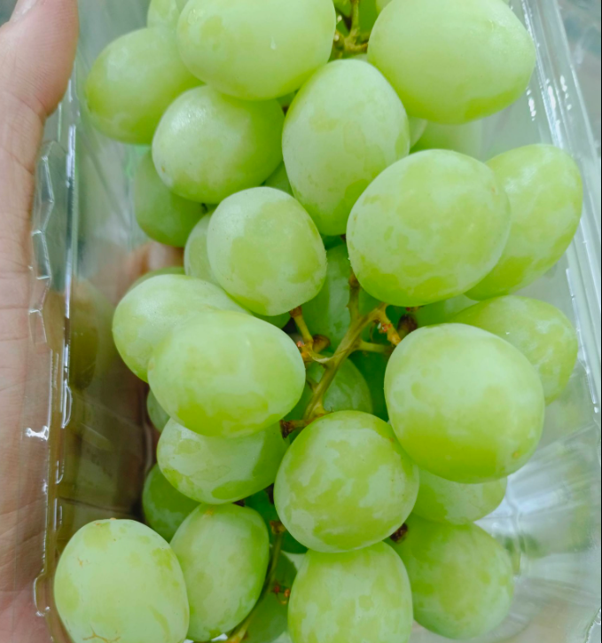 SWEET GLOBE GREEN GRAPE (500G)_0