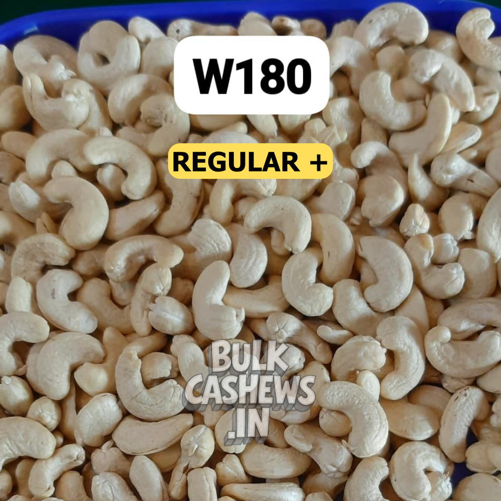 W180 (Regular Plus)_1