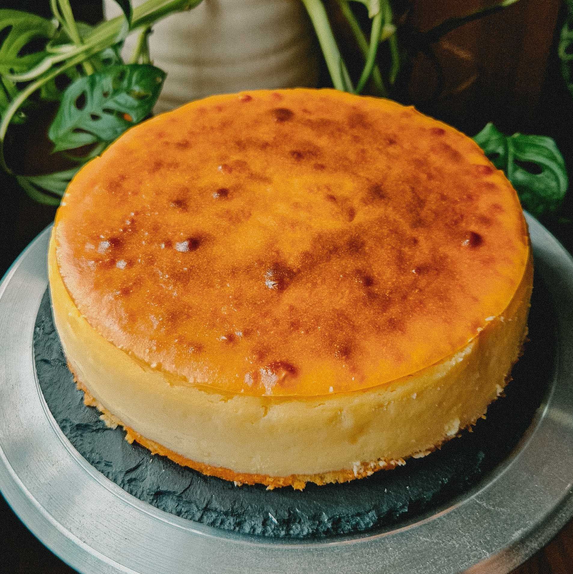 Regular Cheesecake_0