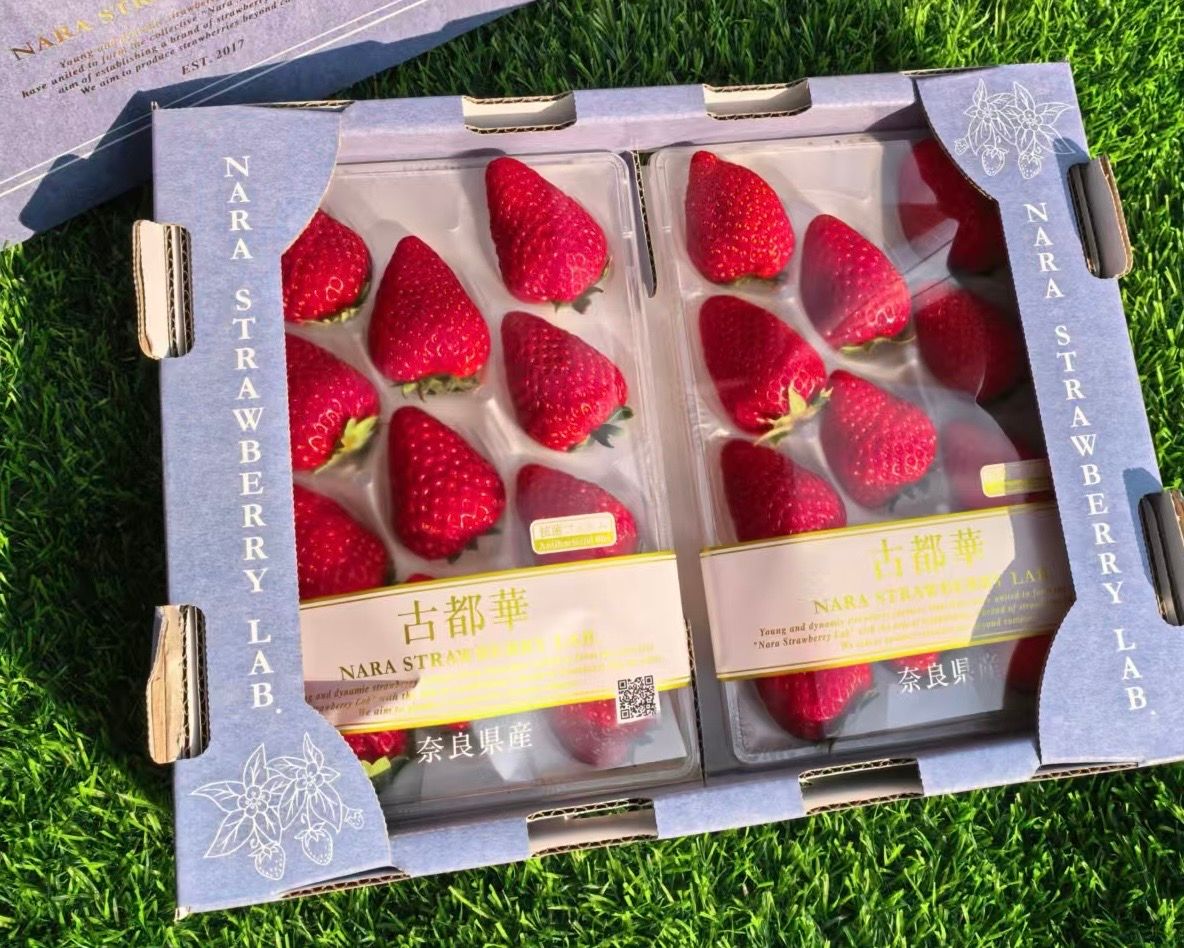 JPN NARA KOTOKA RED STRAWBERRY_0
