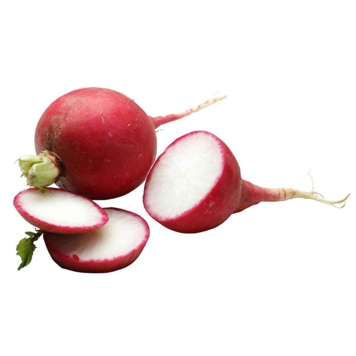 Red Radish _0