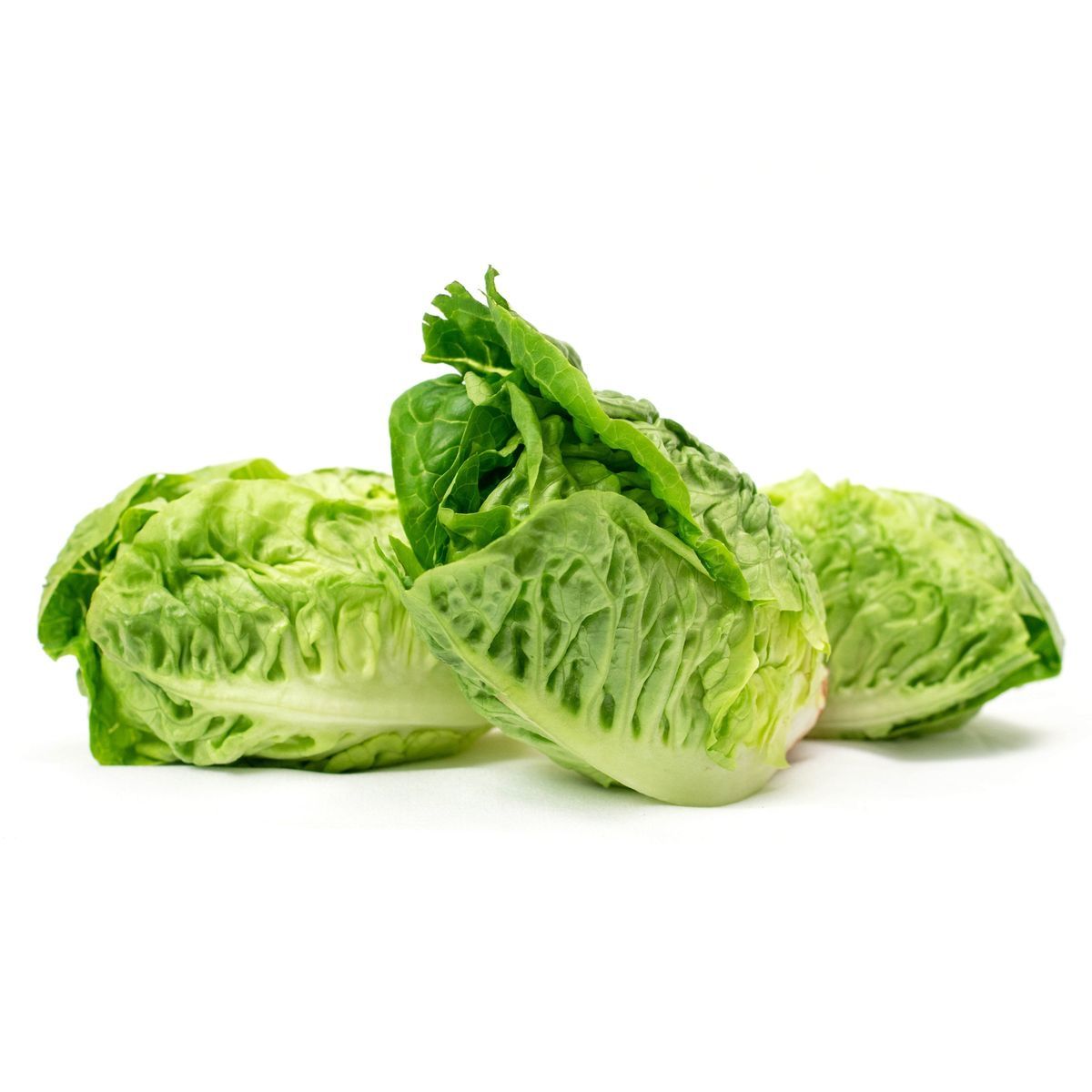 Lettuce Little Gems _0