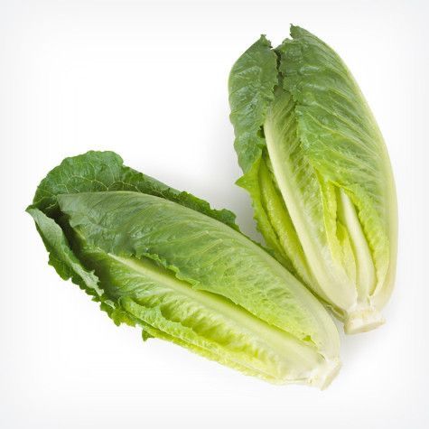 Lettuce Romaine _0