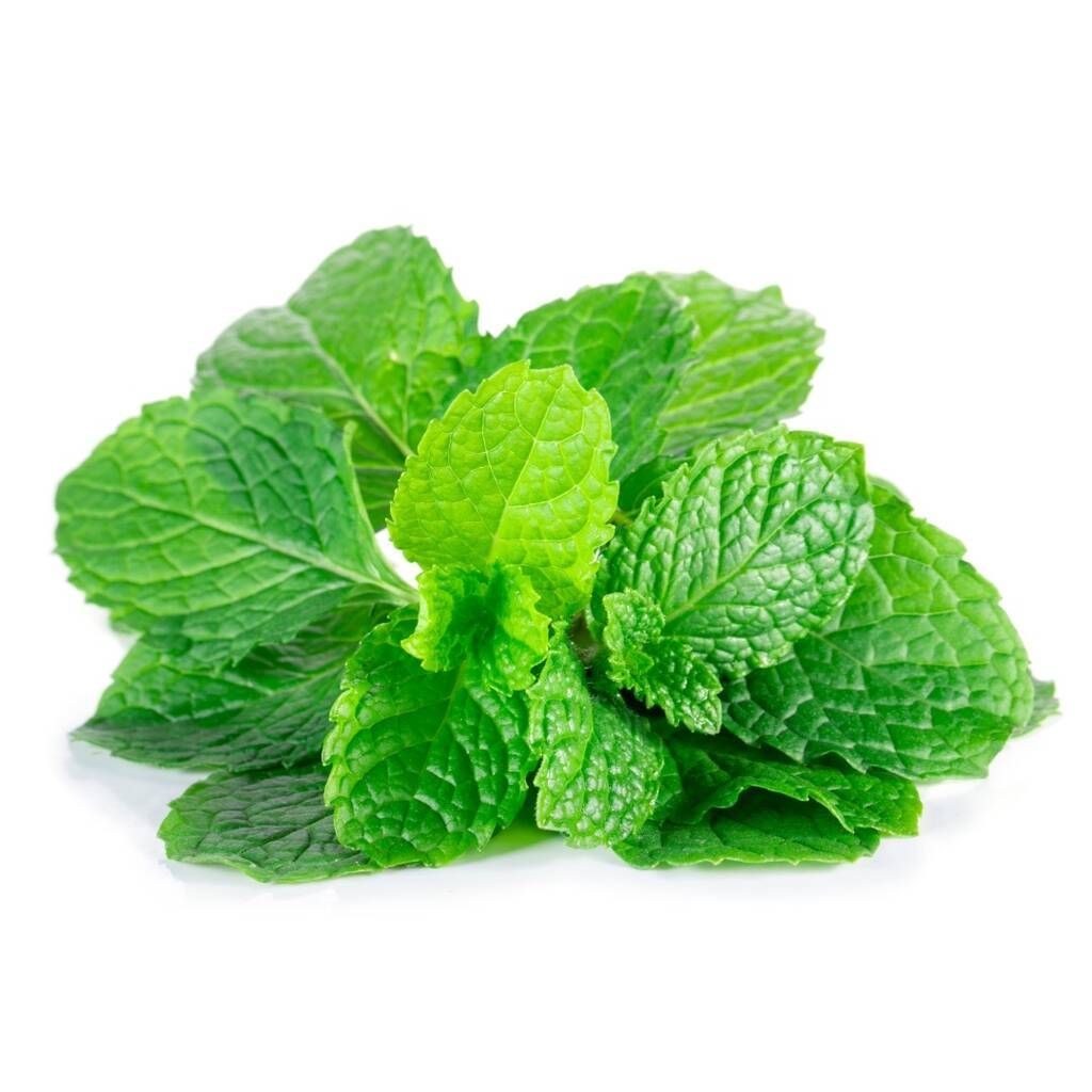 Fresh Mint _0