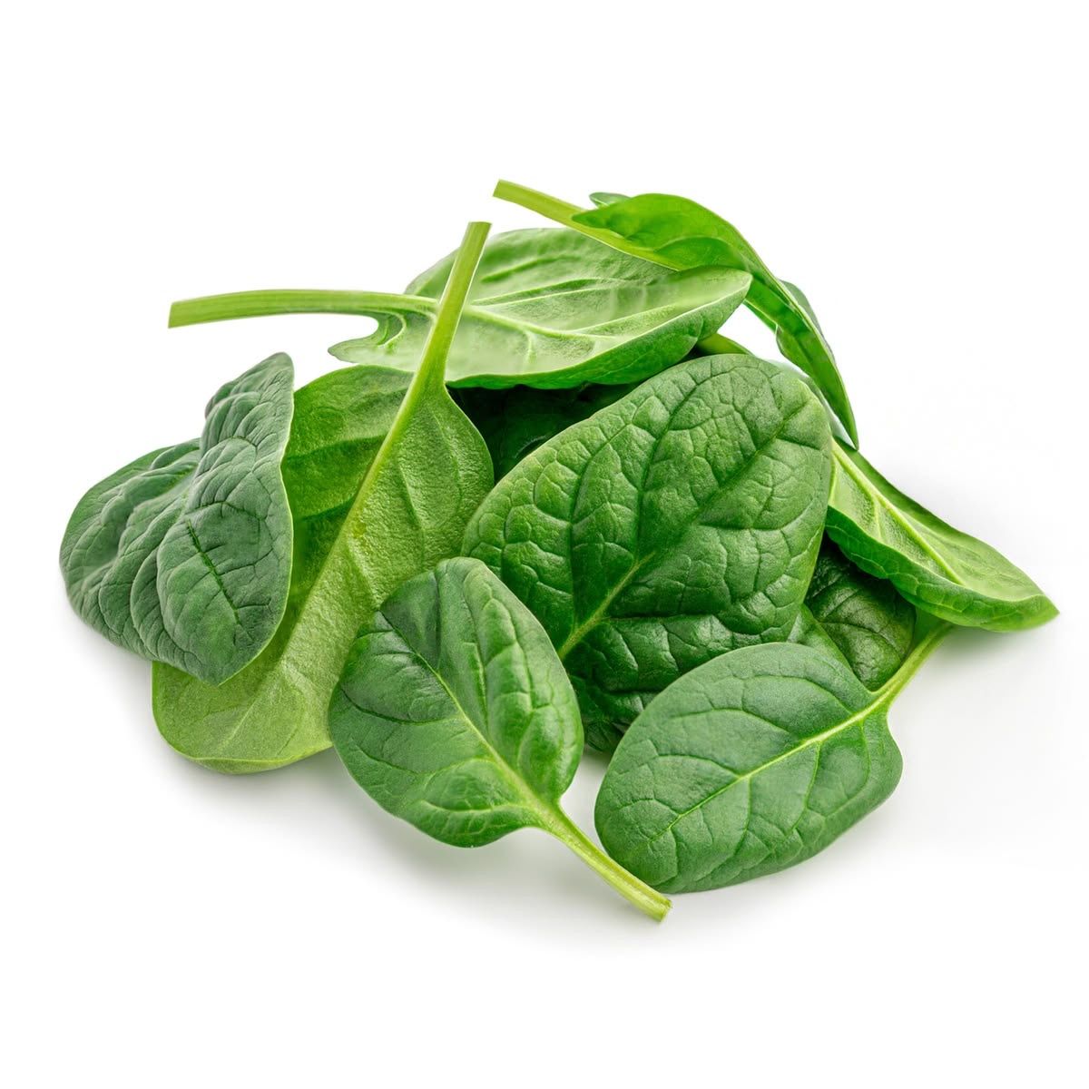 Baby Spinach _0