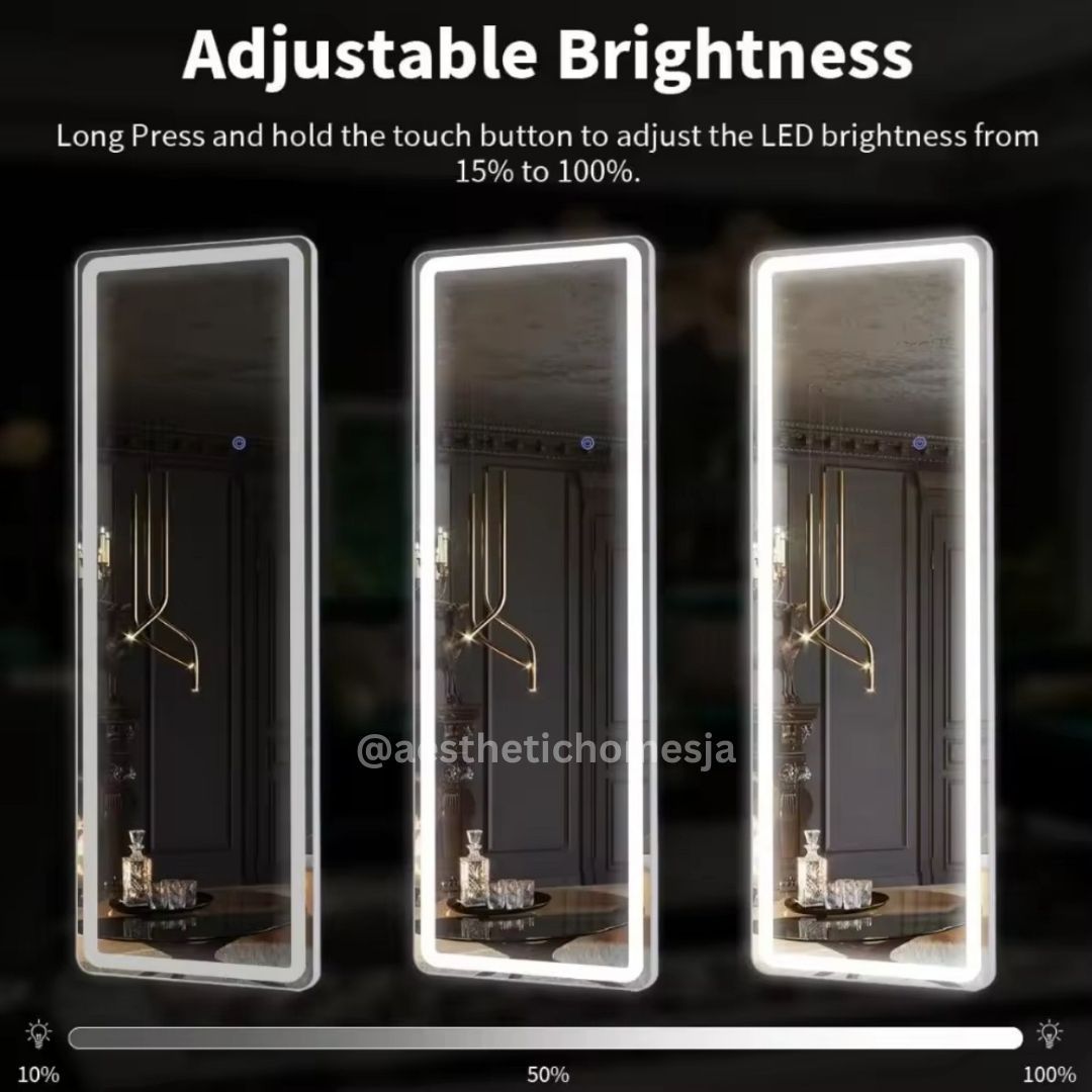 Aesthetic LED Glass Frame Mirror (50x170cm)_1