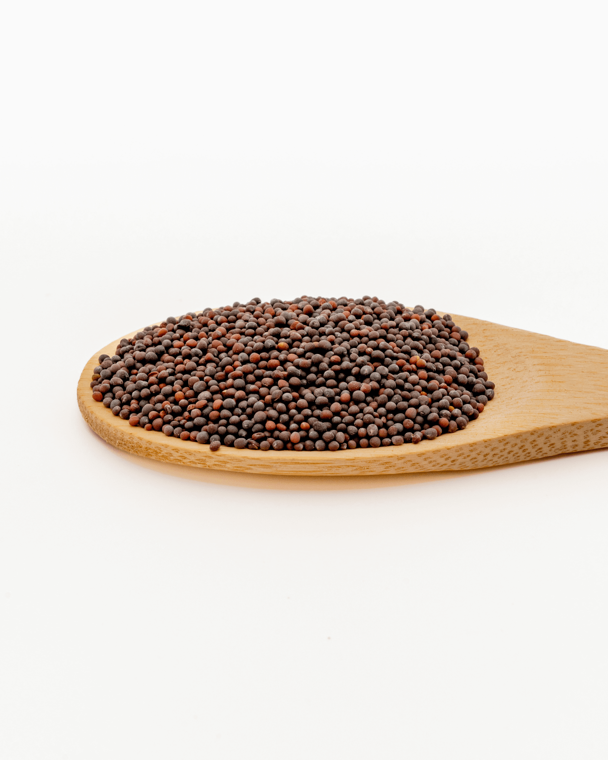 بذور الخردل الأسود_0