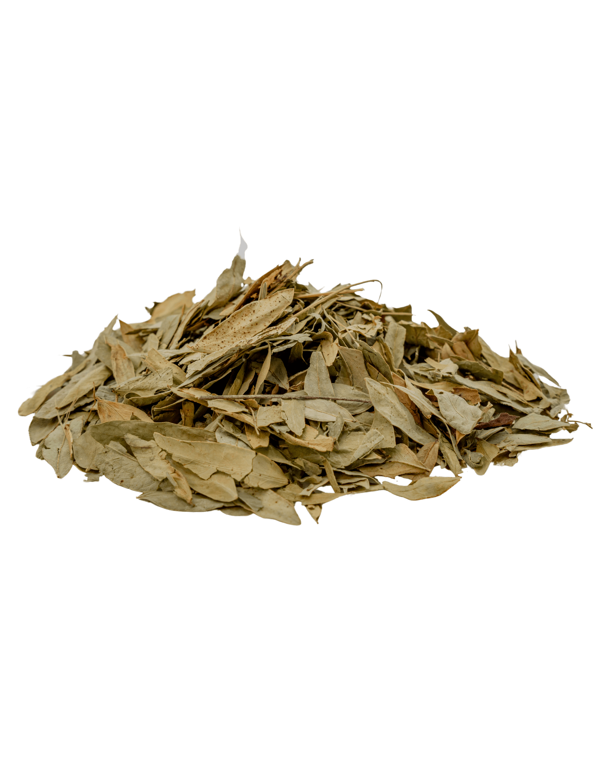 ورق السَّنا_0