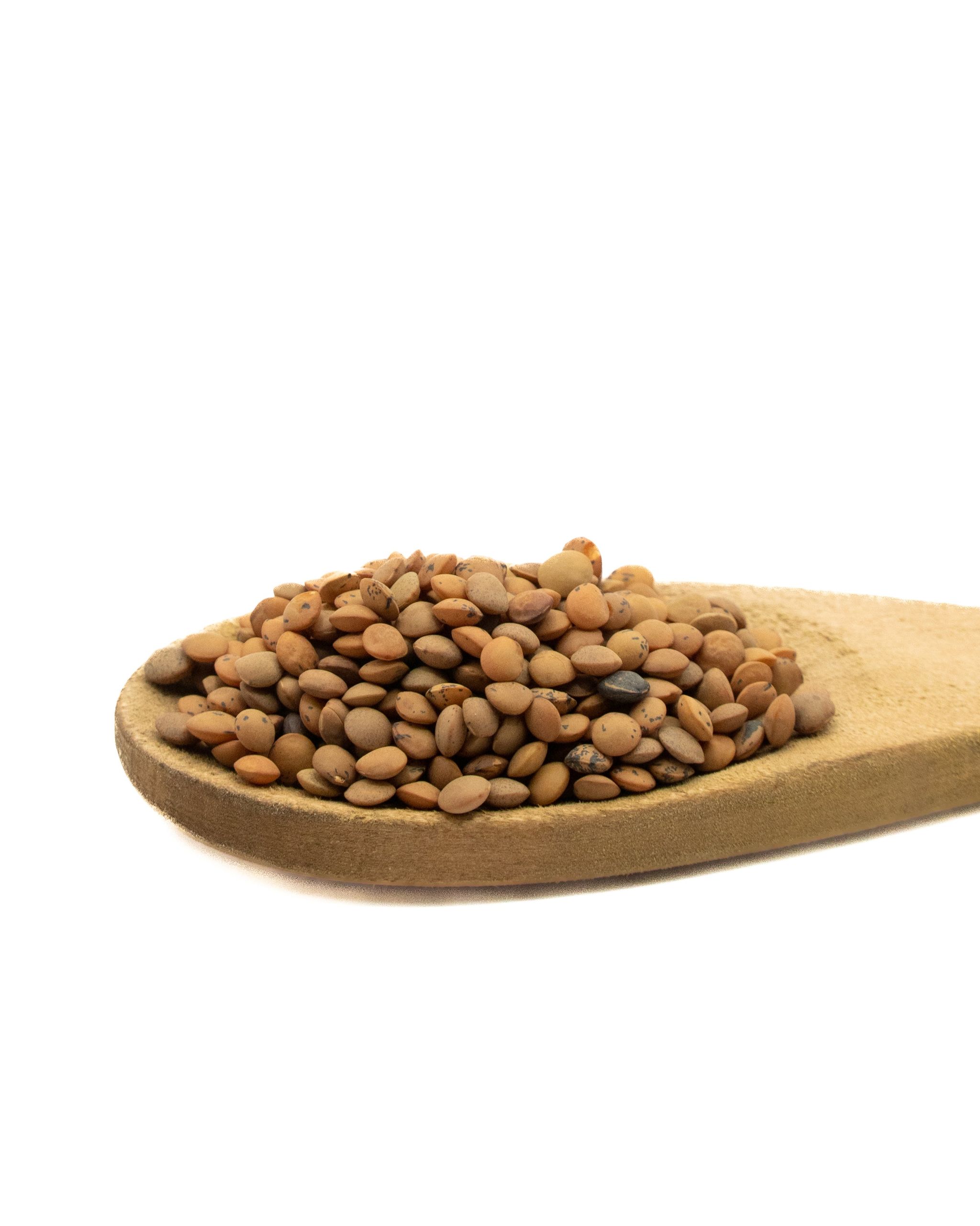 حبوب العدس البني الكندي (1 كجم) / Brown Lentil Seeds Canada (1kg)_0