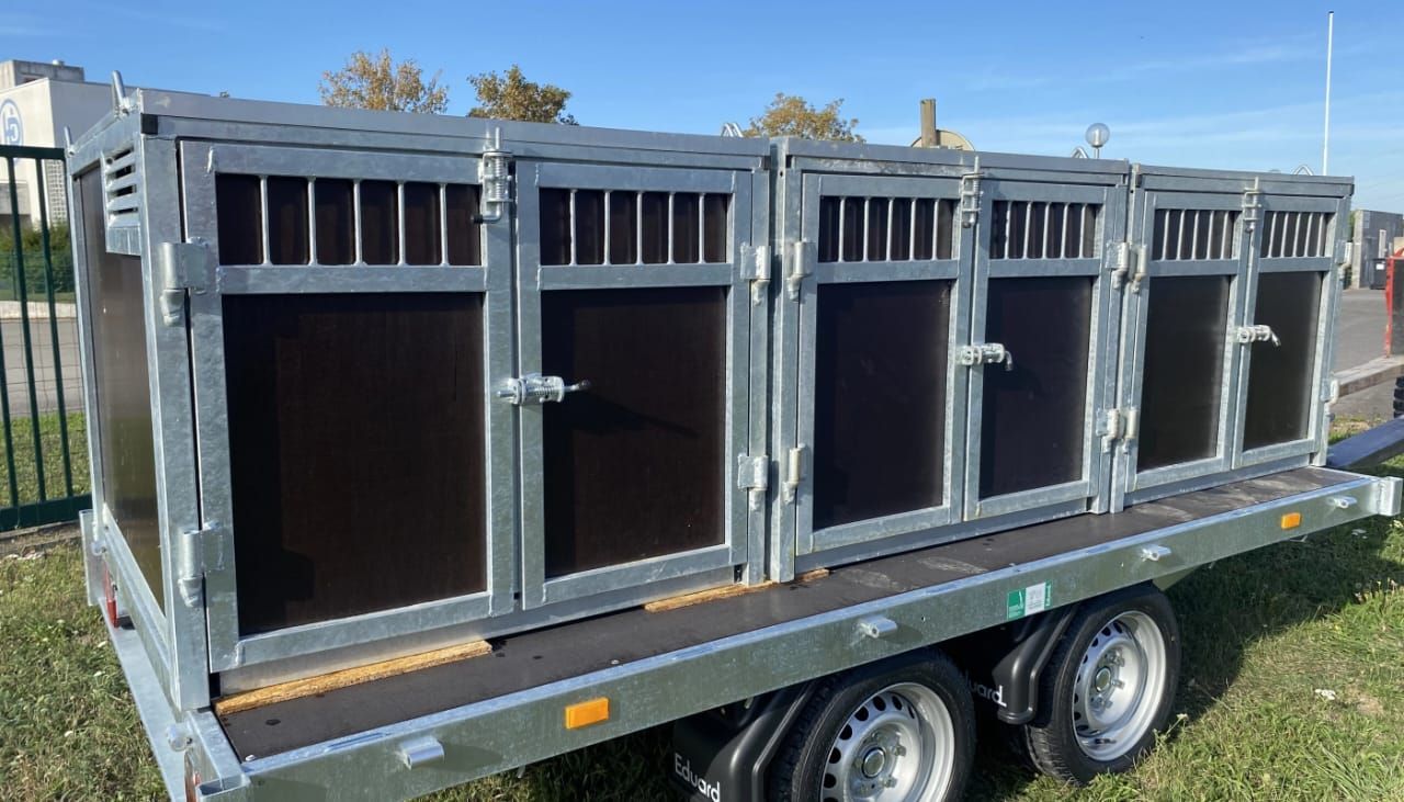 Remolque de plataforma EDUARD con jaula para perros – 2 compartimentos_4