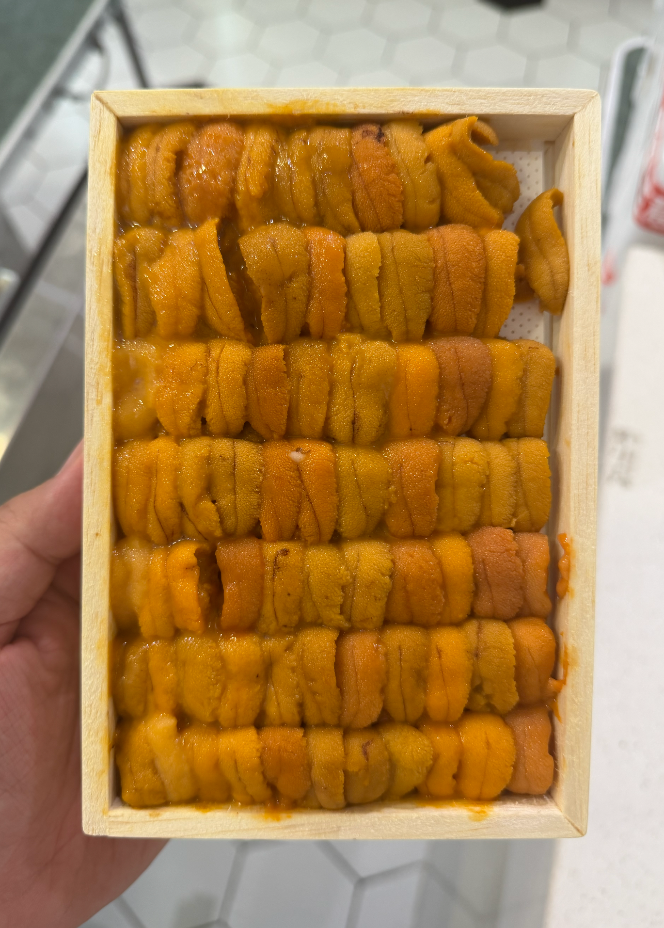 (FALL DOWN UNI) 250g 'Maruichi 丸北' Bafun Uni  _0