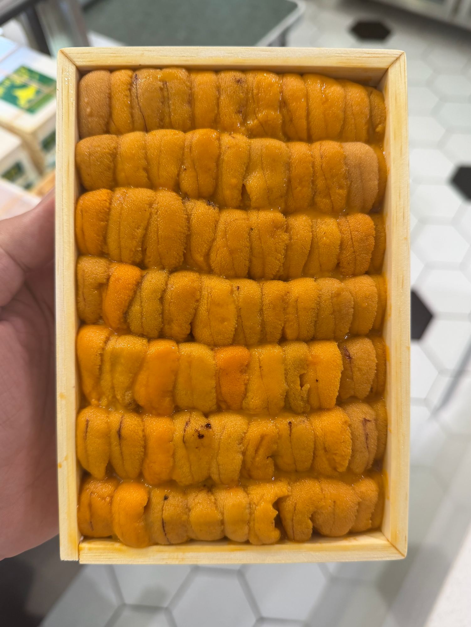 (FALL DOWN UNI) 250g 'Kanedai かねだい' Bafun Uni _0