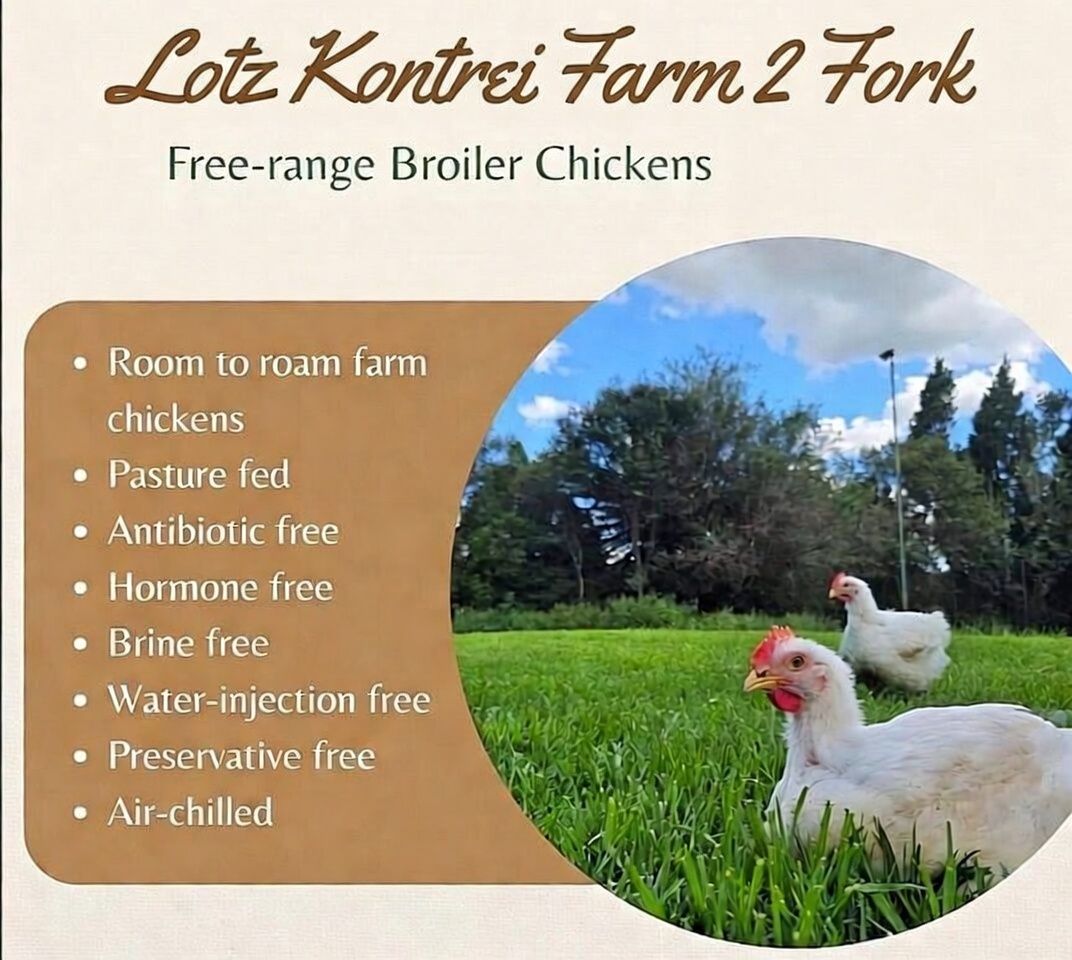 Free range - Chicken wings (Average 1.1kg)_0