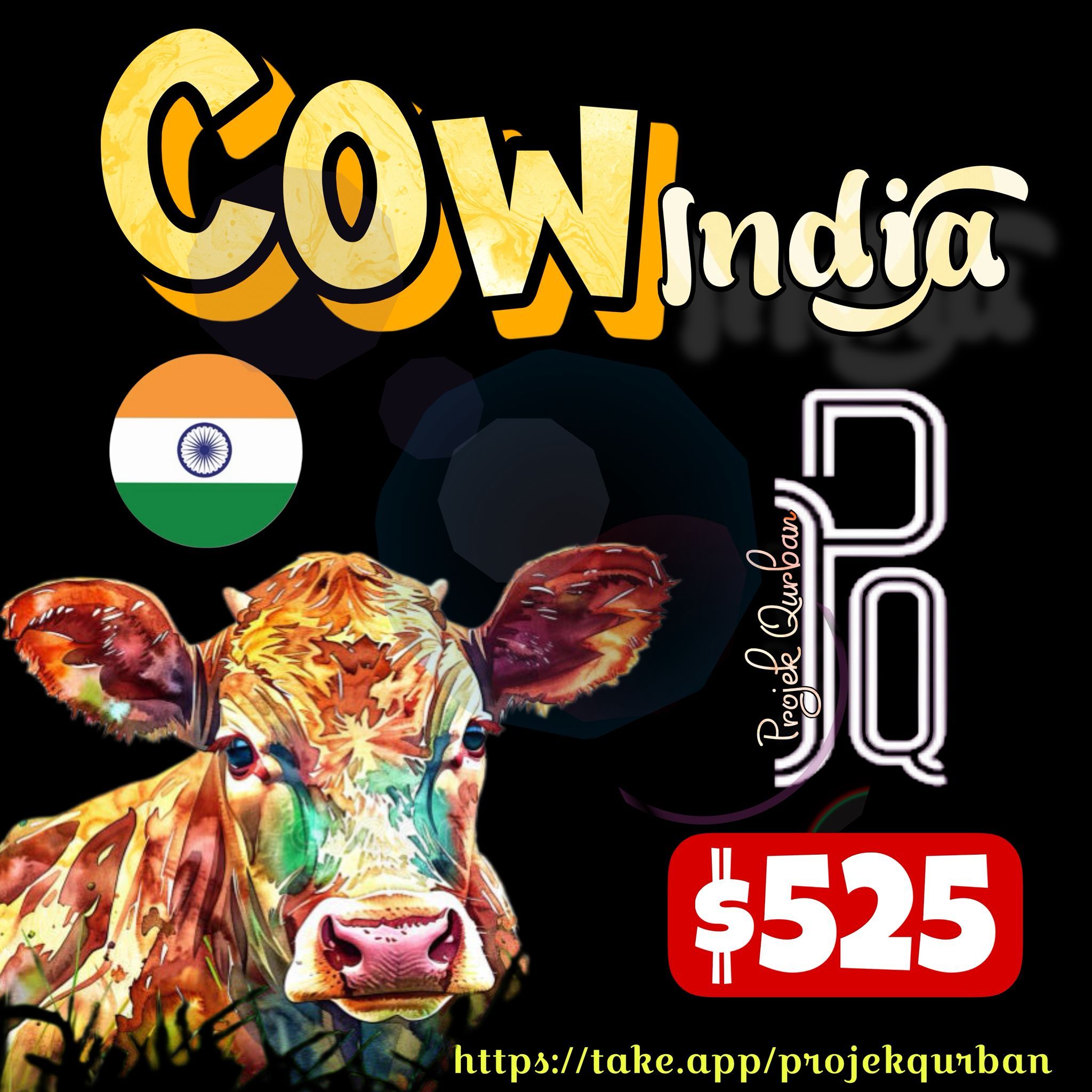 Cow - India_0