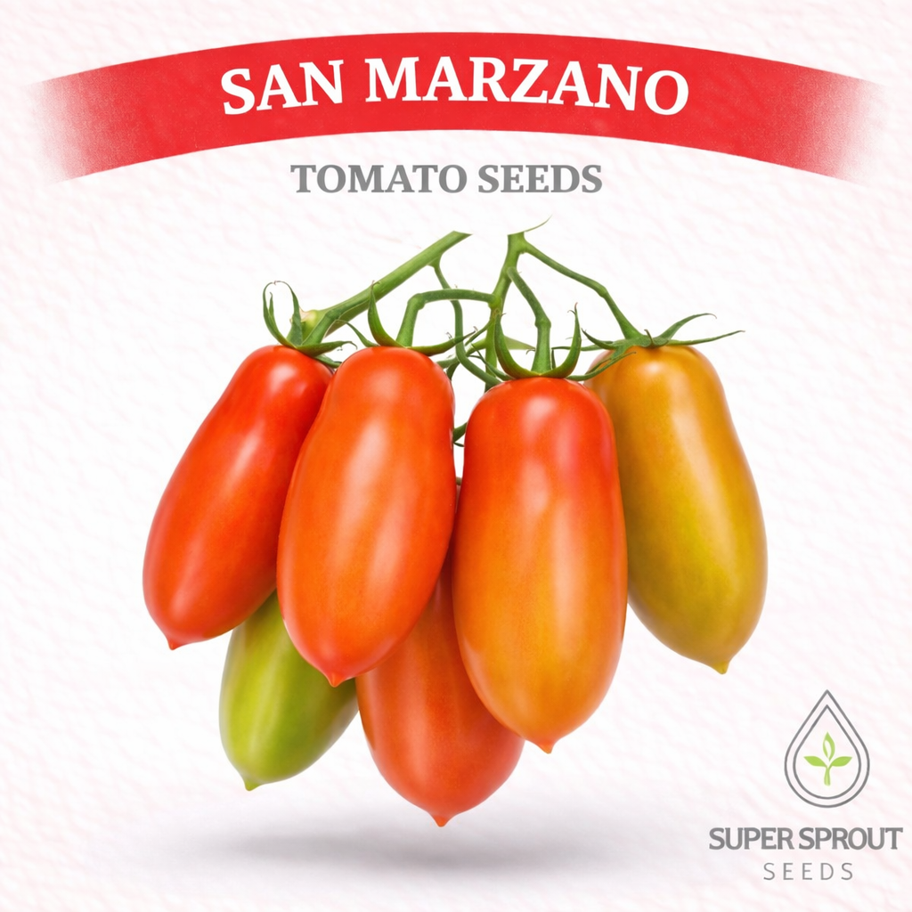San Marzano paste tomato x 10 seeds_0