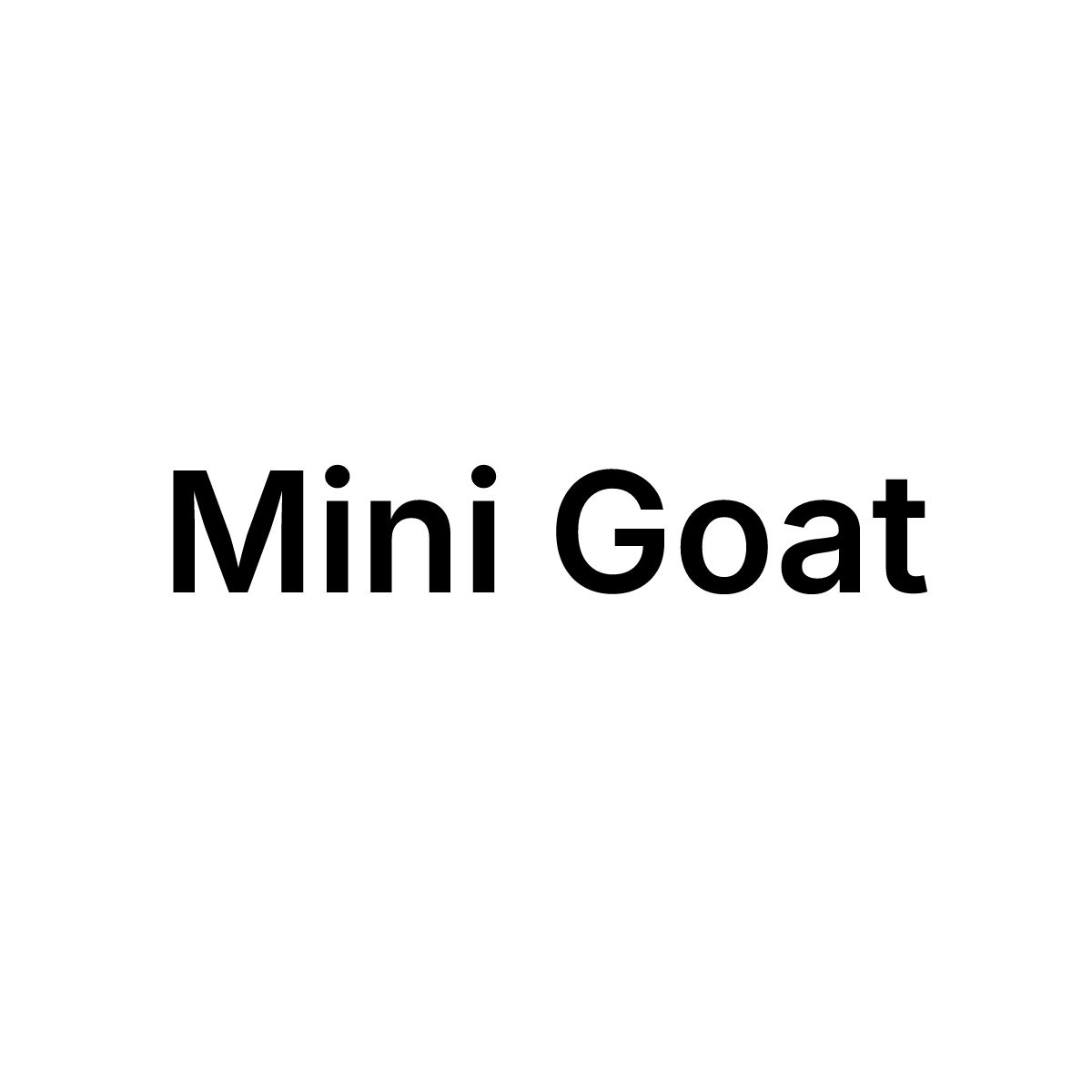 Mini Goat_0