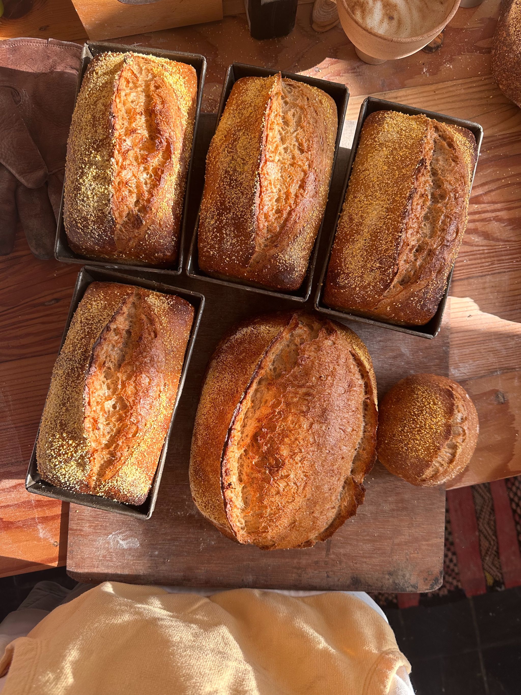 Sandwich Sourdough_0