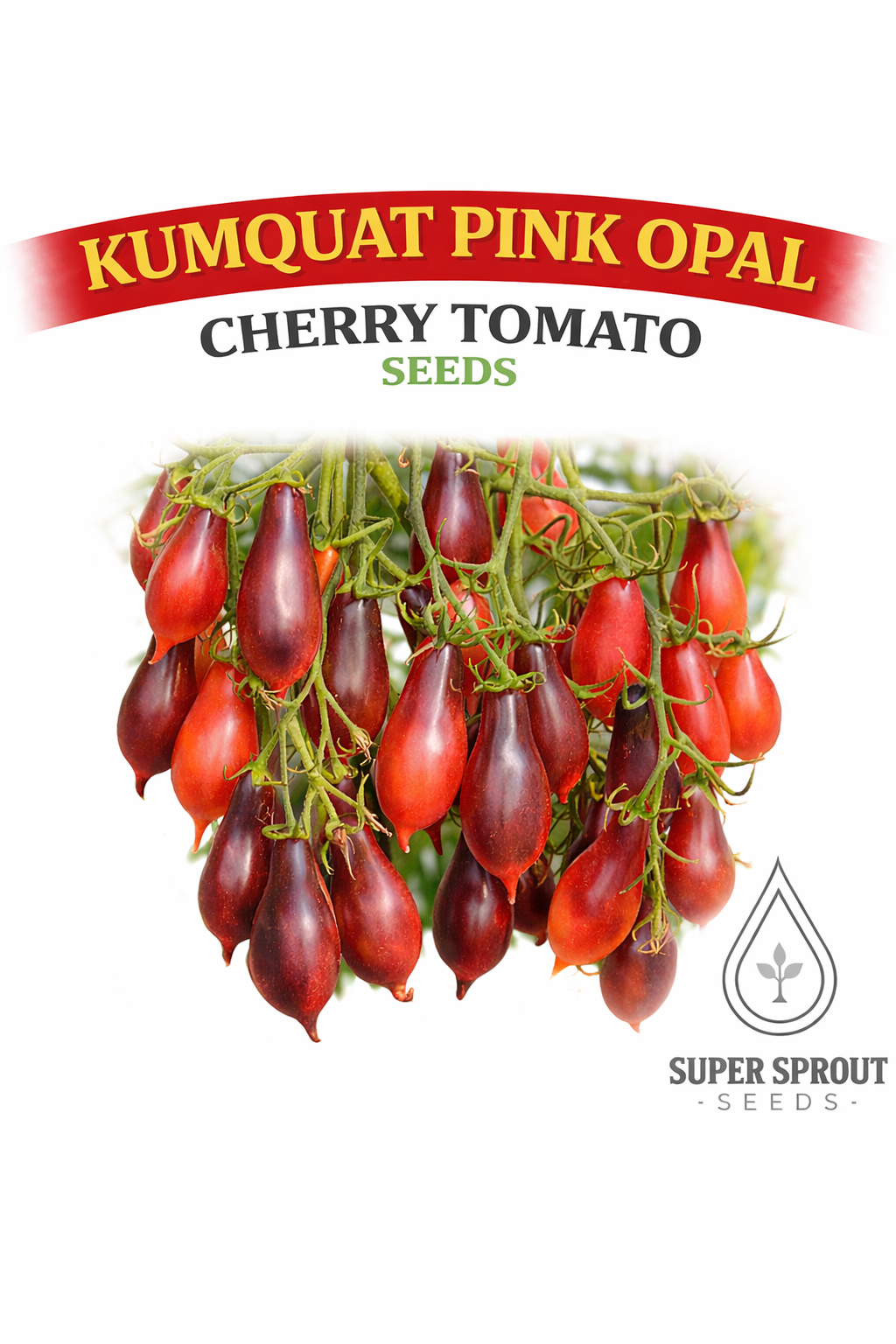 🍅KUMQUAT PINK OPAL CHERRY TOMATO🍅 x 10 organic seeds _0
