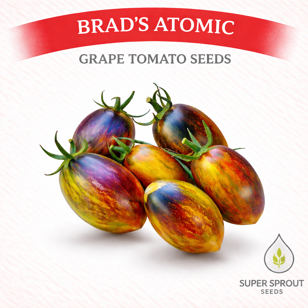 🍅BRAD'S ATOMIC GRAPES🍅 x 15+ seeds_0