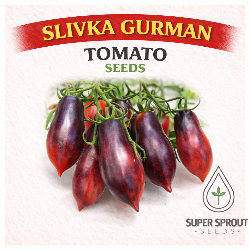 🍅SLIVKA GURMAN TOMATO🍅 x 15 seeds_0