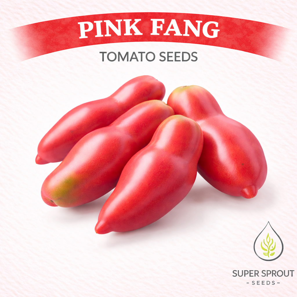 🍅TOMATO PINK FANG🍅 x 15 + organic seeds_0
