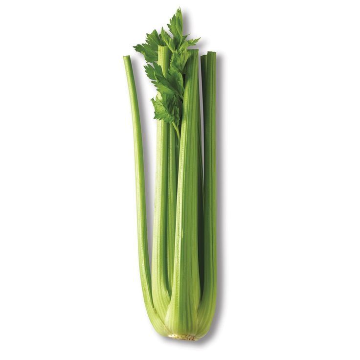 Celery _0