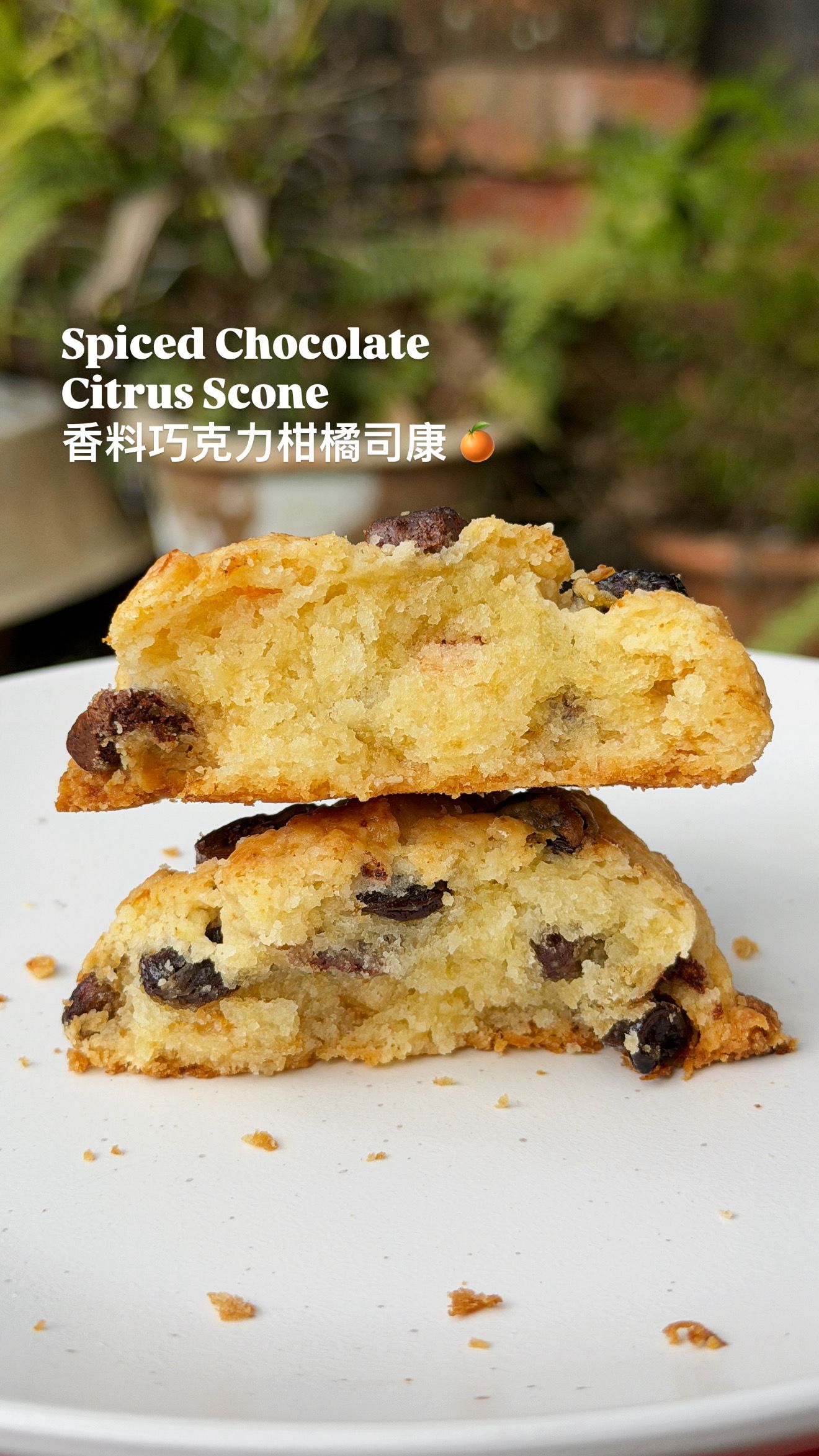 C- Scones C-司康_3