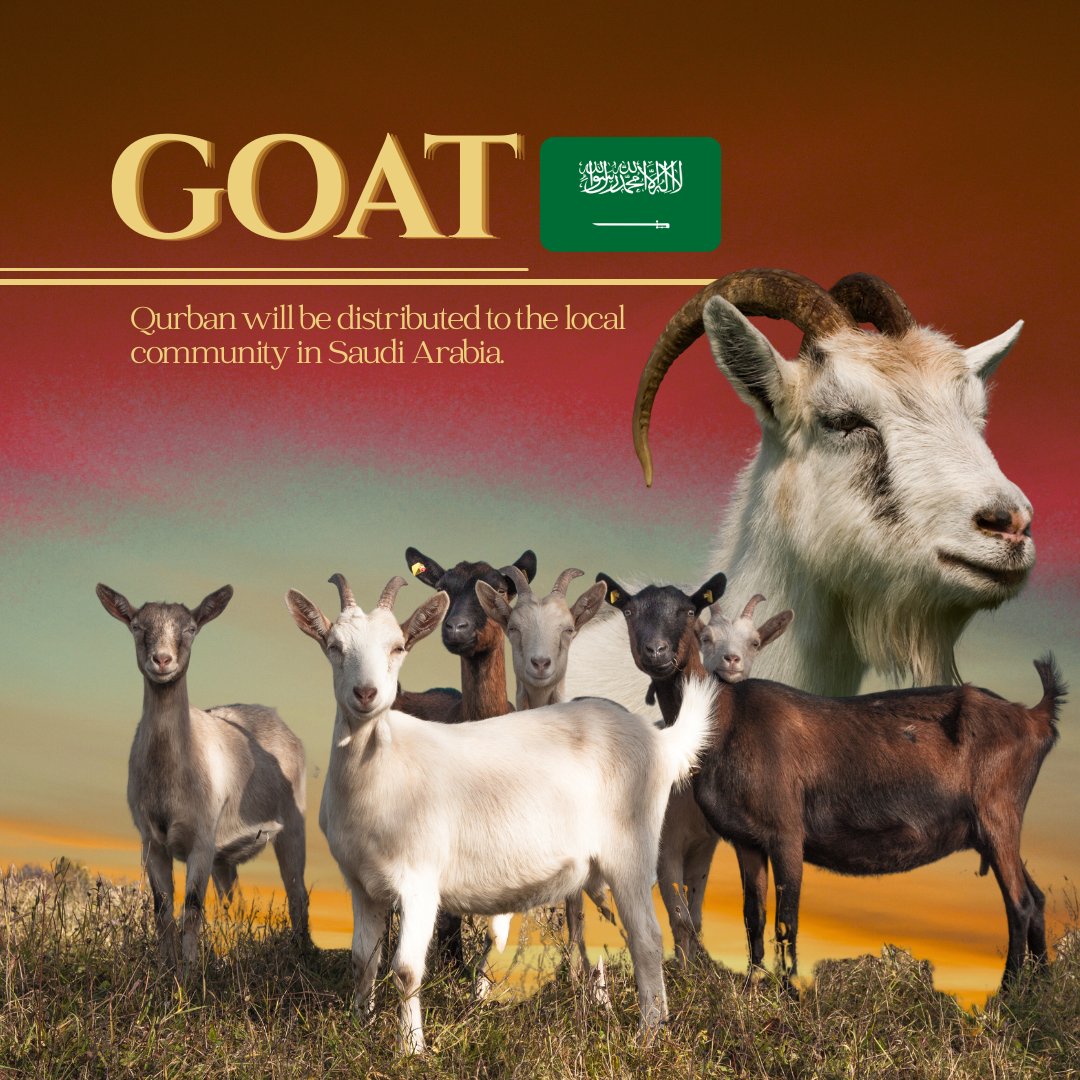 GOAT (MAKKAH)_0