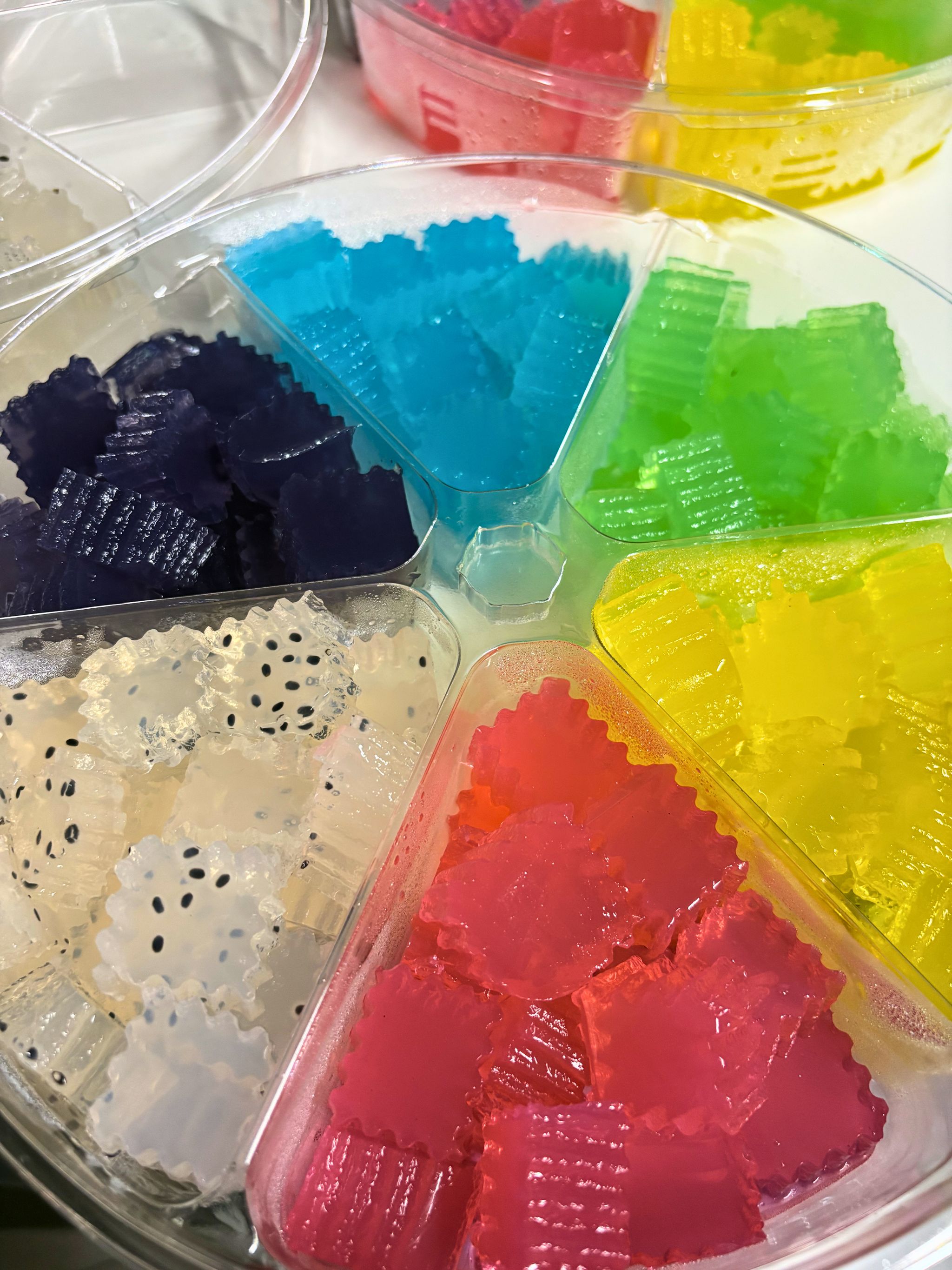 Rainbow Agar Bites_1