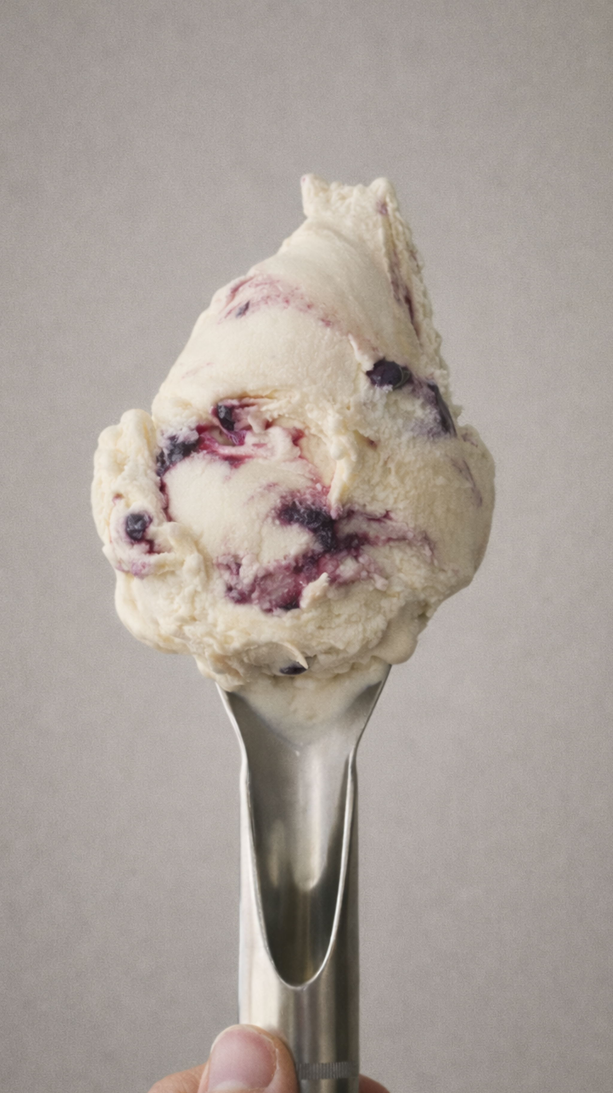 Juniper & Blueberries_0