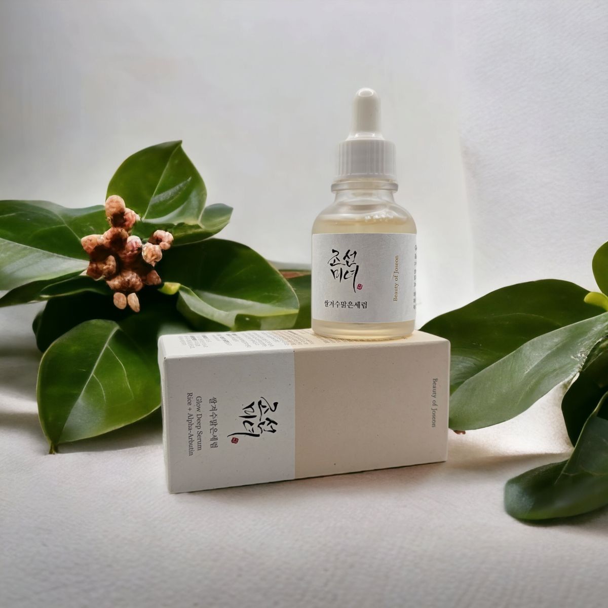SÉRUM ÉCLAT RIZ + ALPHA-ARBUTINE – BEAUTY OF JOSEON_0