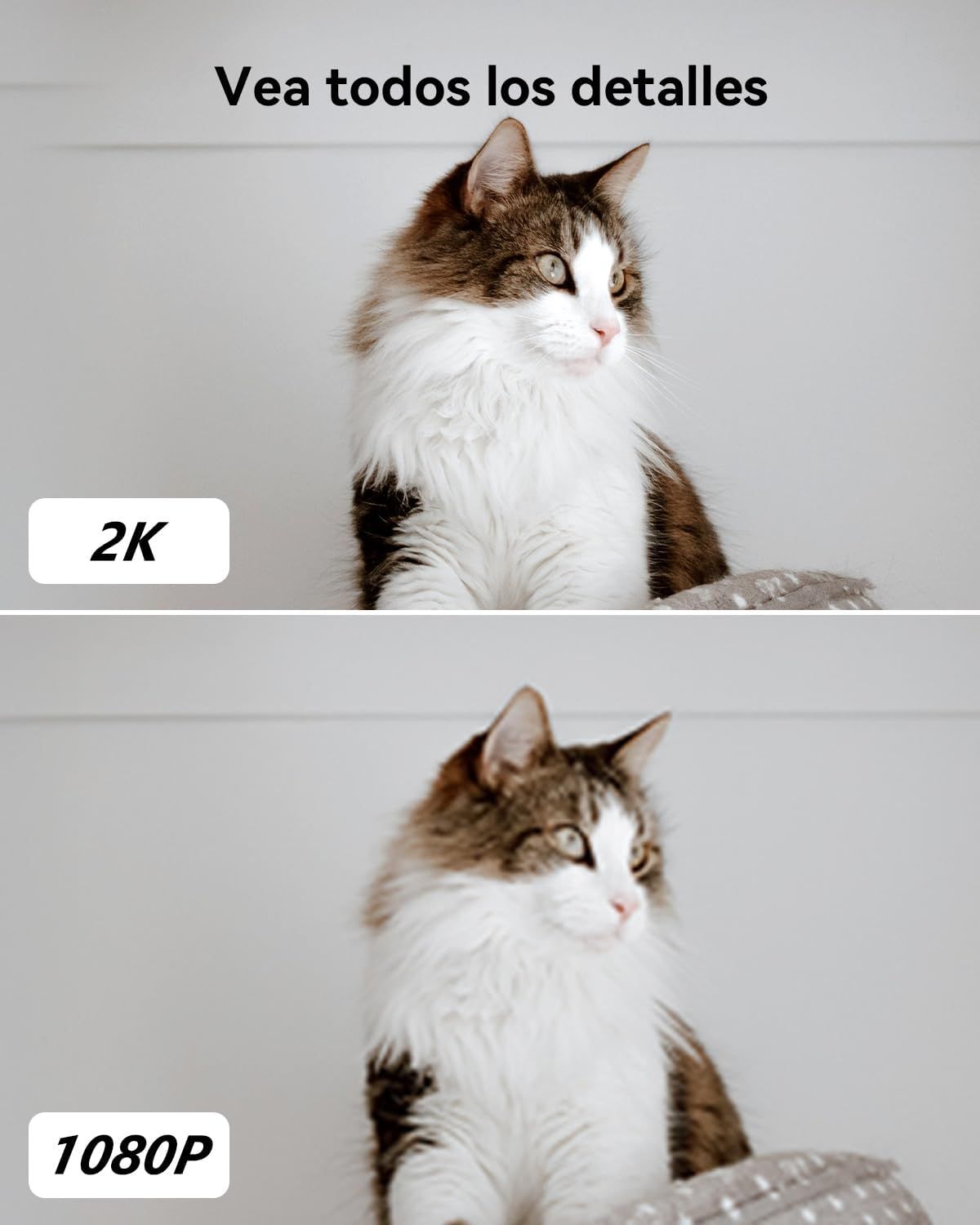 IMOU RANGER 2 PRO / RESOLUCION 2K 3MP / MOTORIZADA 360 / WIFI / INTERIOR / TECNOLOGIA AI / DETECCION DE PERSONAS Y MASOTAS / BOTON DE LLAMADA_4