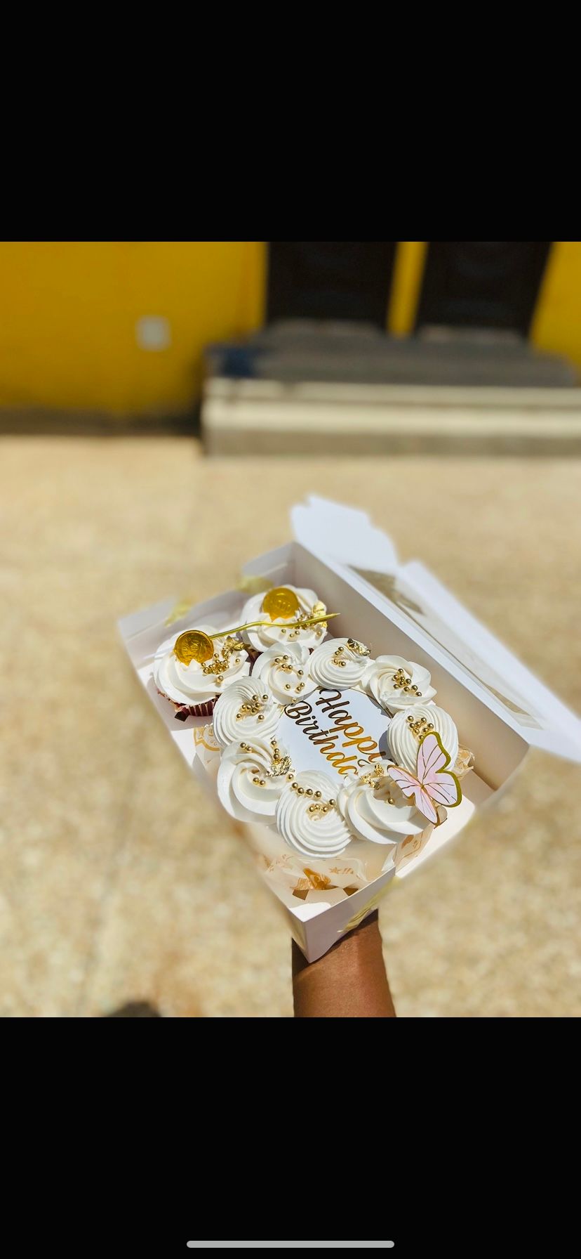 Bento Cake with 2 cupcakes _1