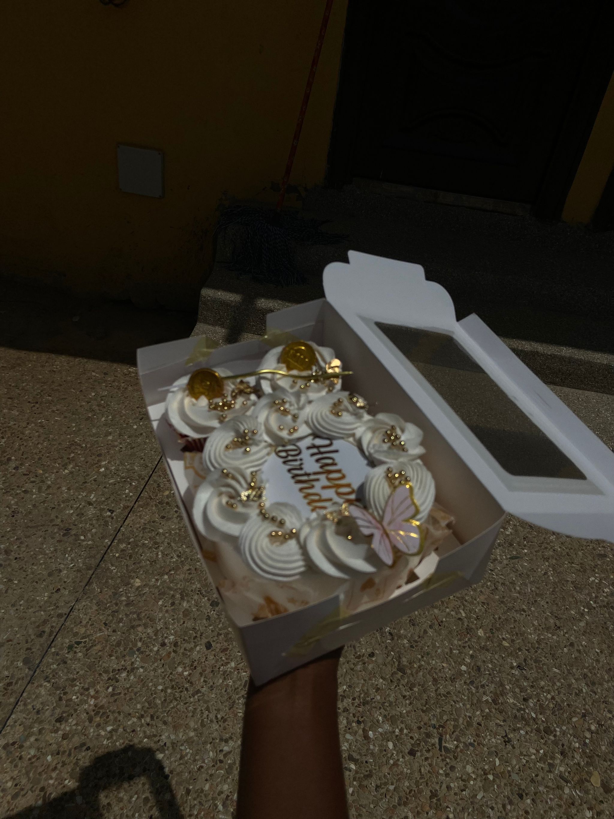 Bento Cake with 2 cupcakes _0