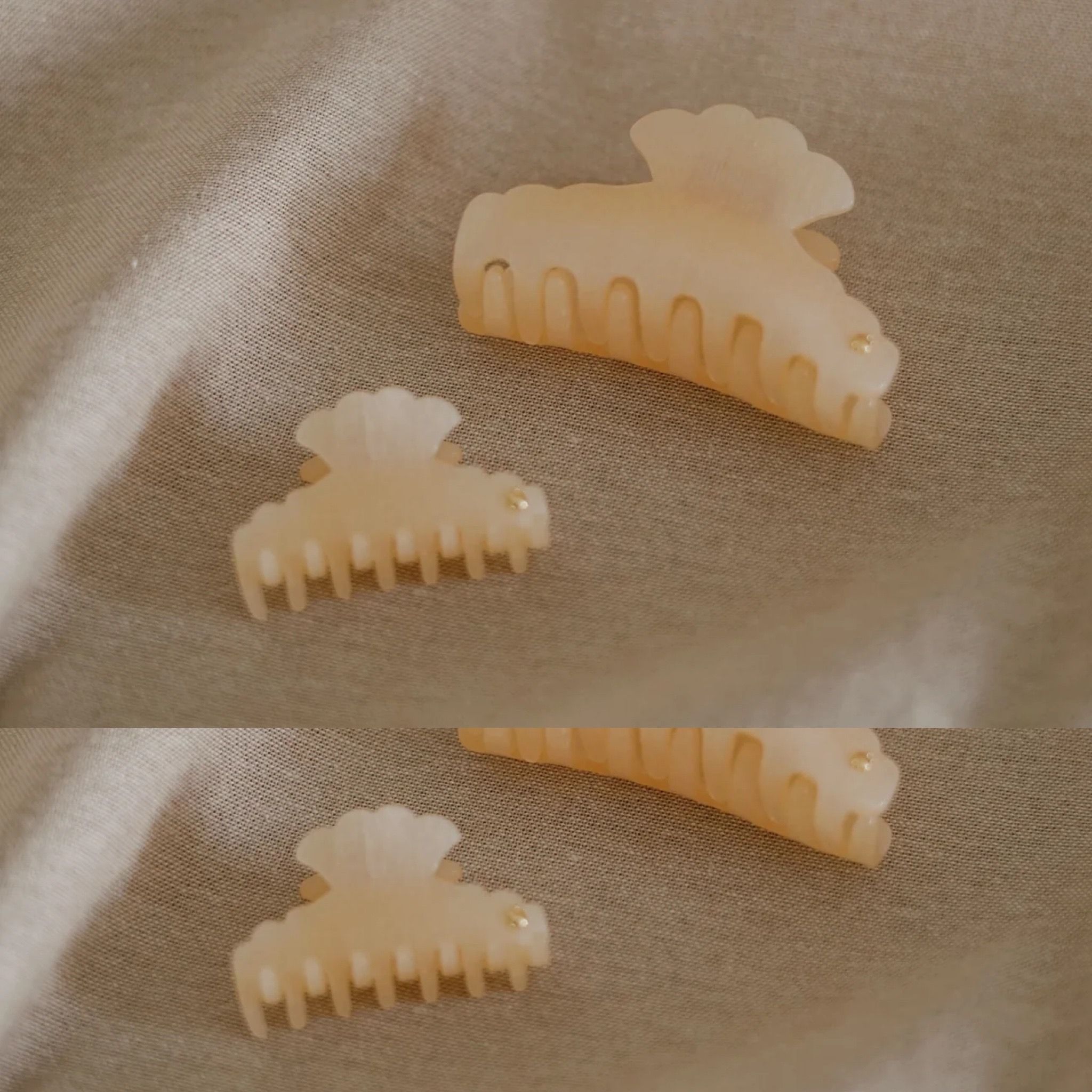 Medusa Jaw | Silky Sand (S)_0