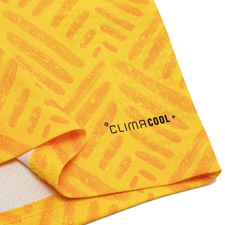 South Africa NT Adidas ClimaCool+ Kit 26_5