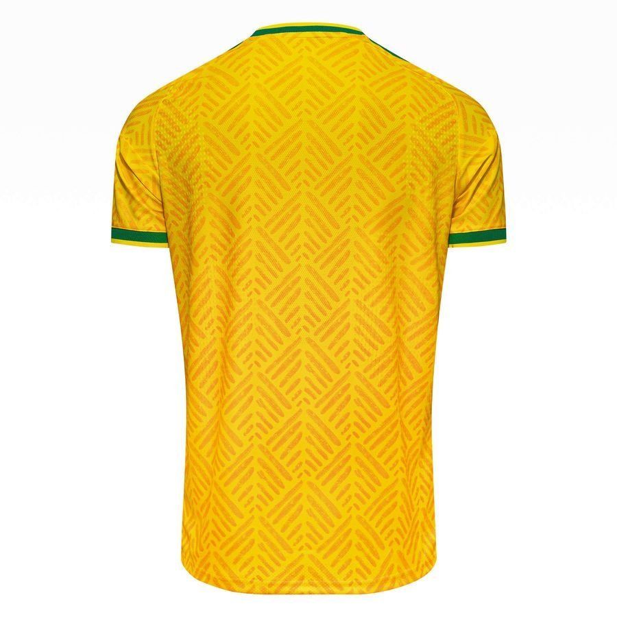 South Africa NT Adidas ClimaCool+ Kit 26_8