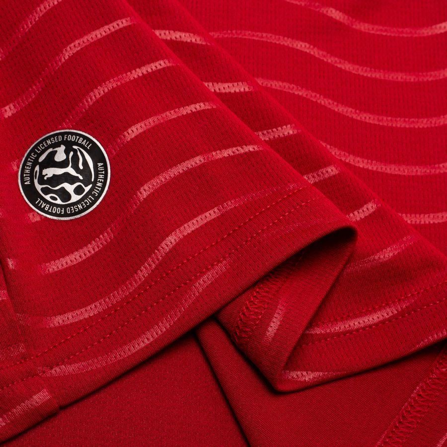 Portugal NT Puma DRYCELL Kit 26_7