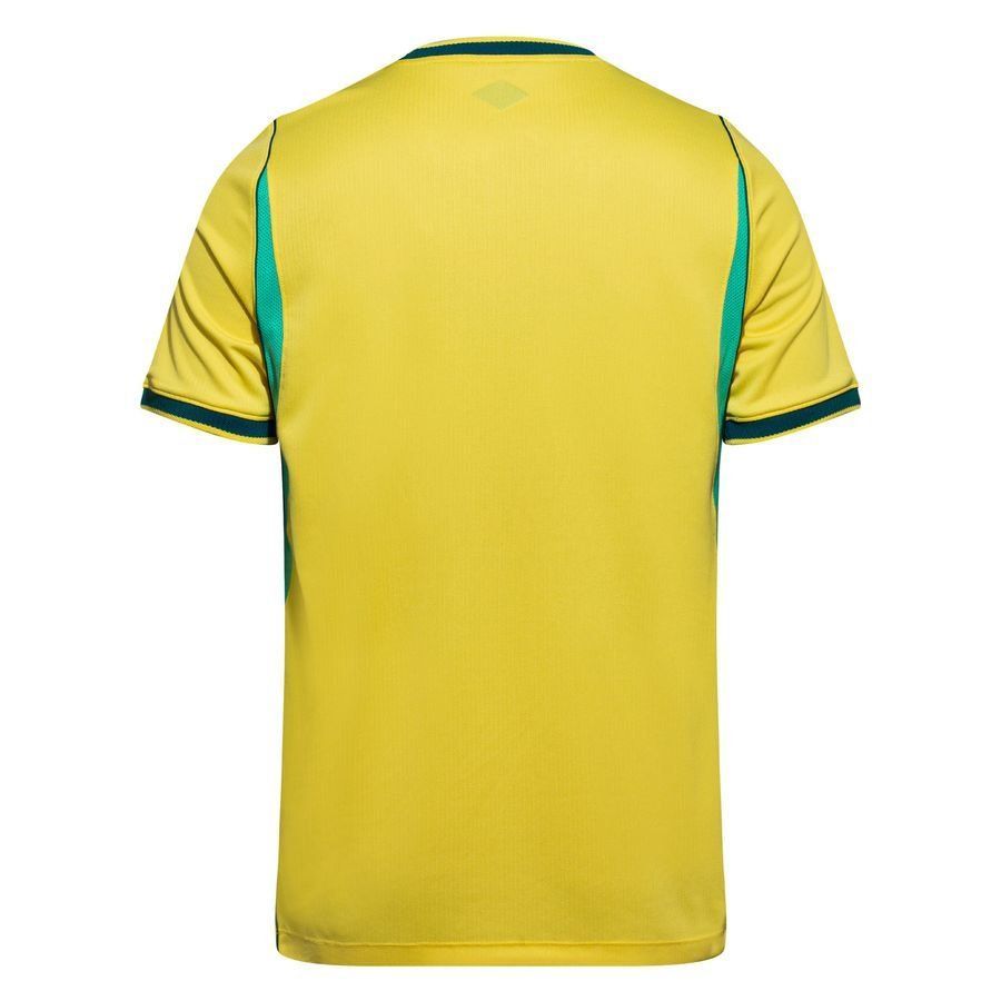 Brazil NT Nike AEROFIT Kit 26_7