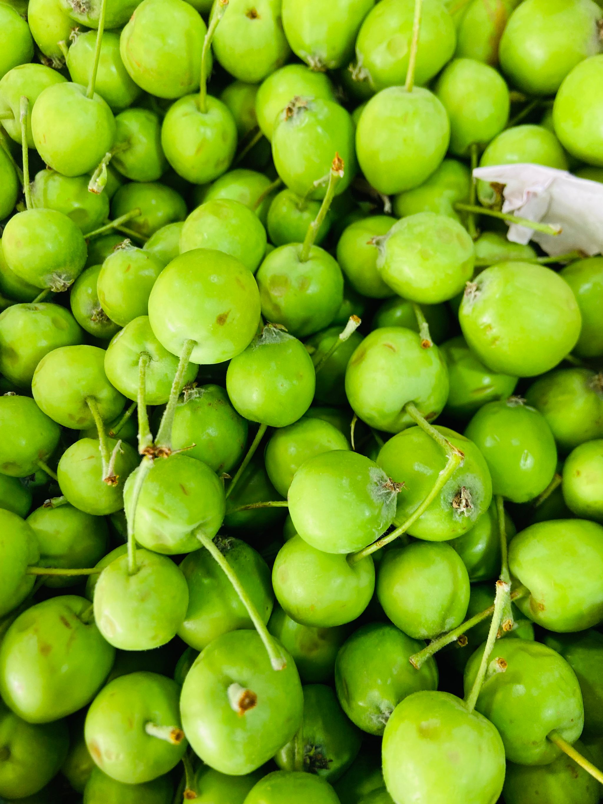 تفاح كوفي اخضر_0