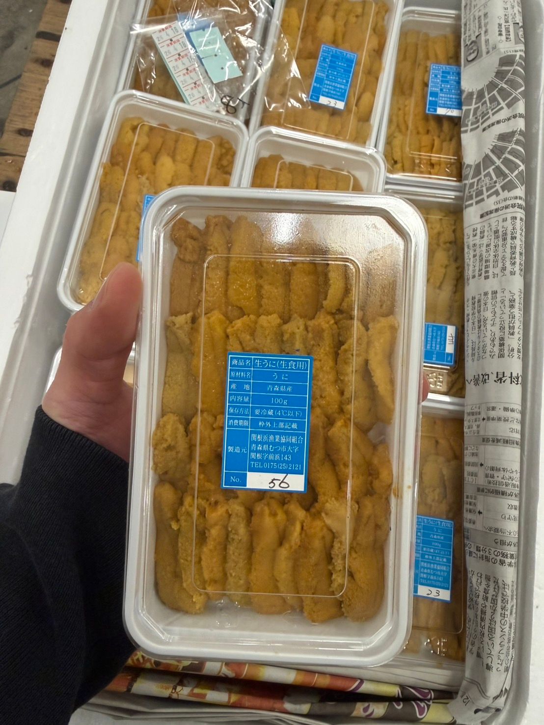 (CLEARANCE) 100g 'Aomori' Murasaki Uni_0