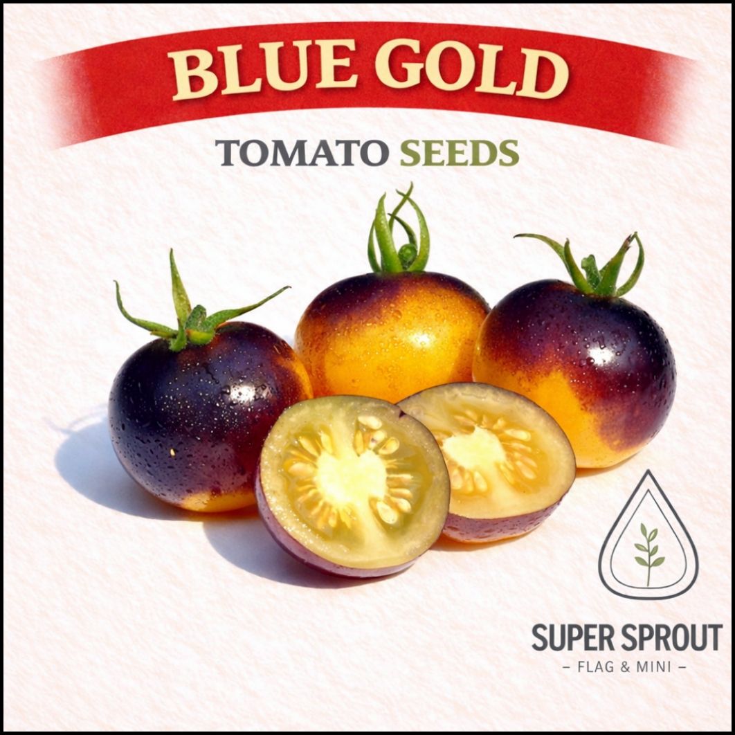 Indigo tomato combo pack x 6 packs 10 seeds._3