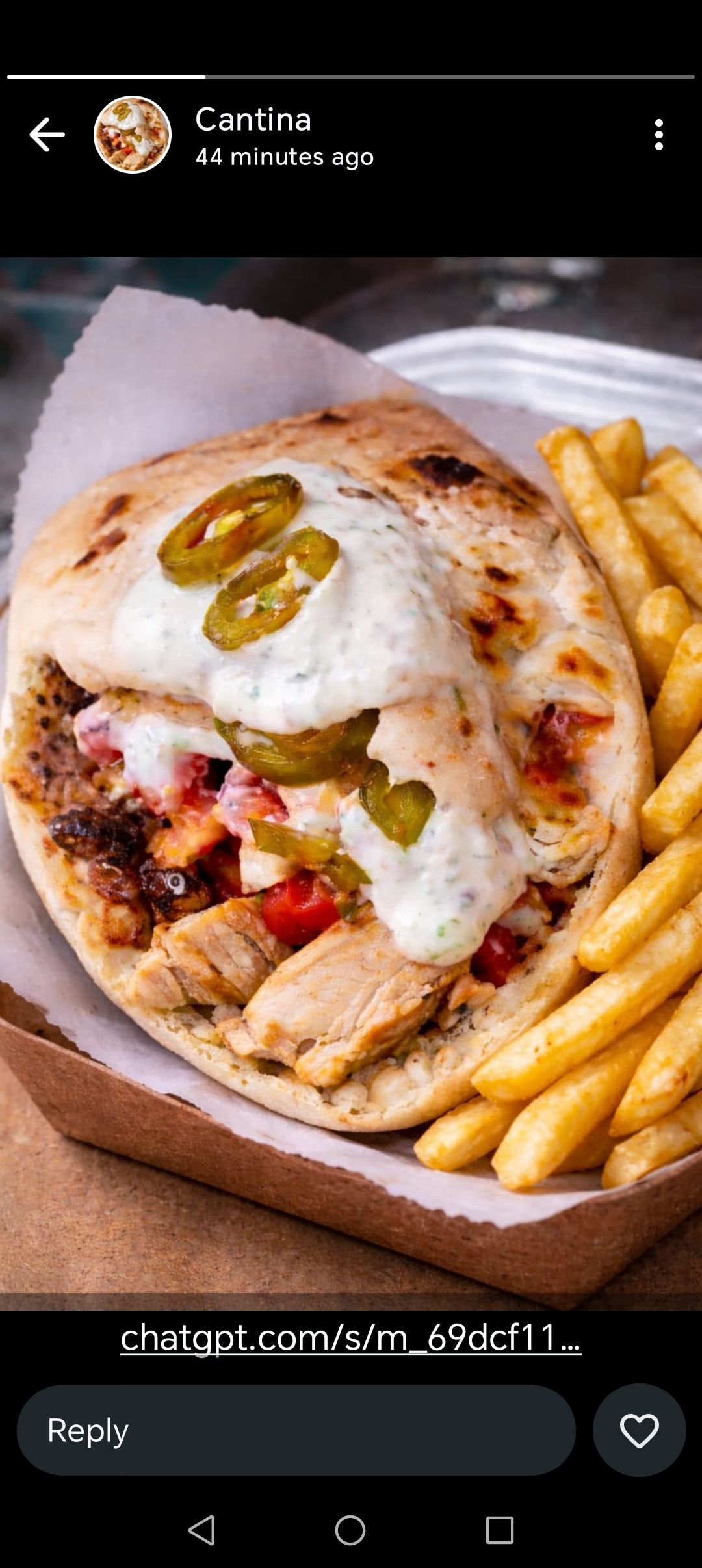 Jalapeño Chicken Schwarma With Chips _0