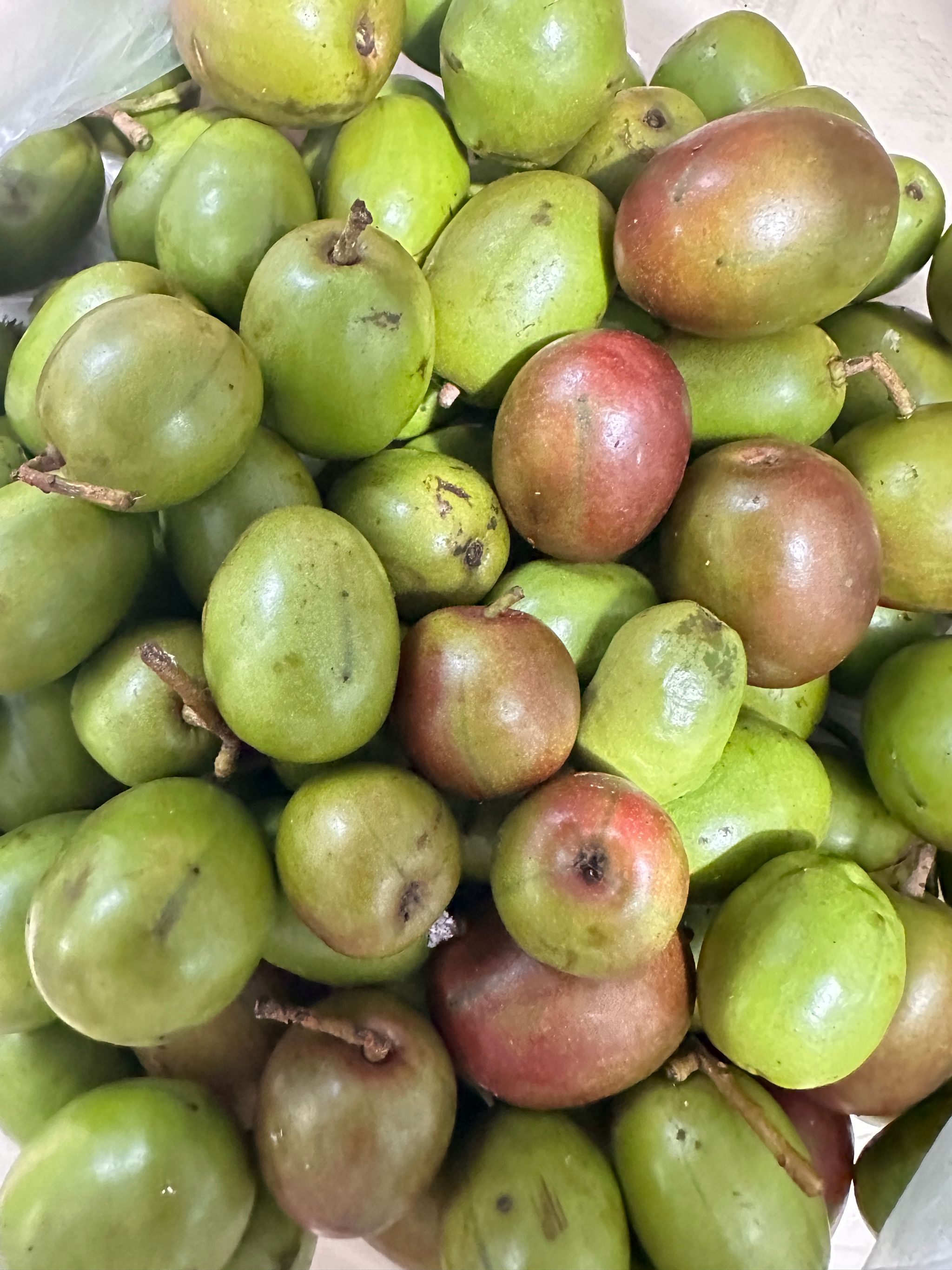 Ciruela Traqueadora (sour plums)_0