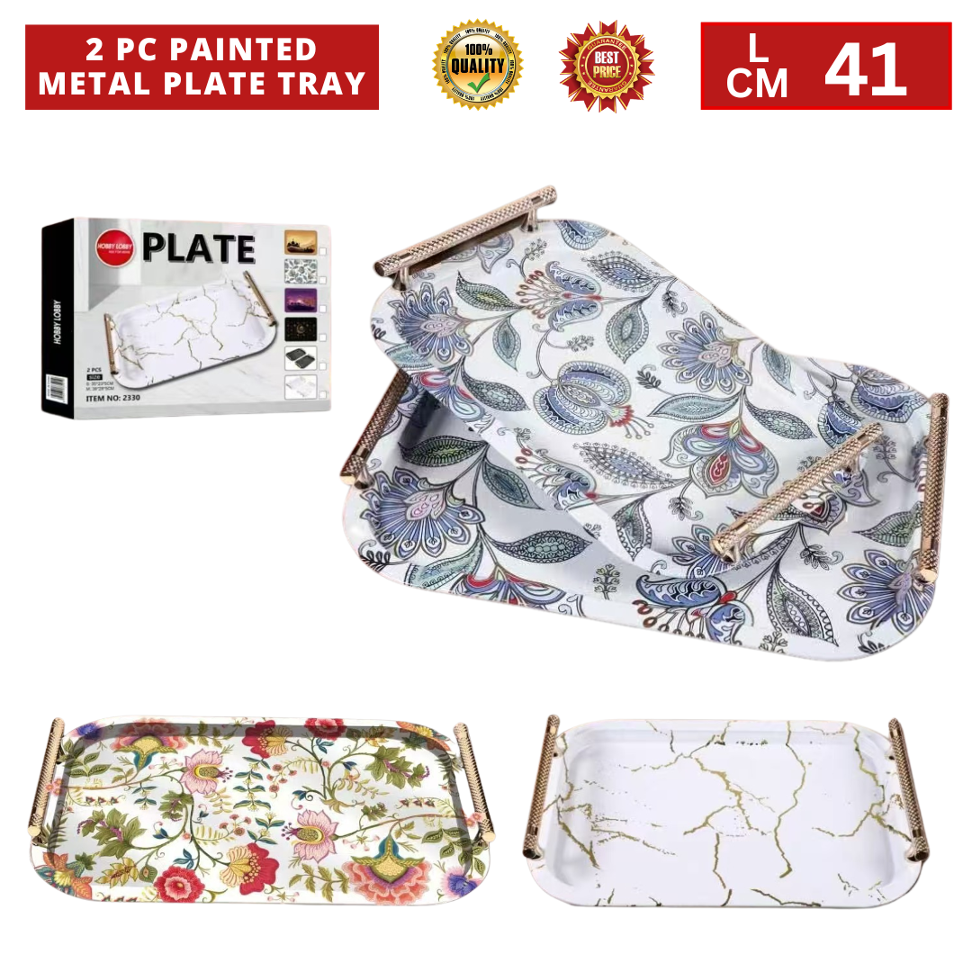 2 PC PAINTED METAL PLATE TRAY_0