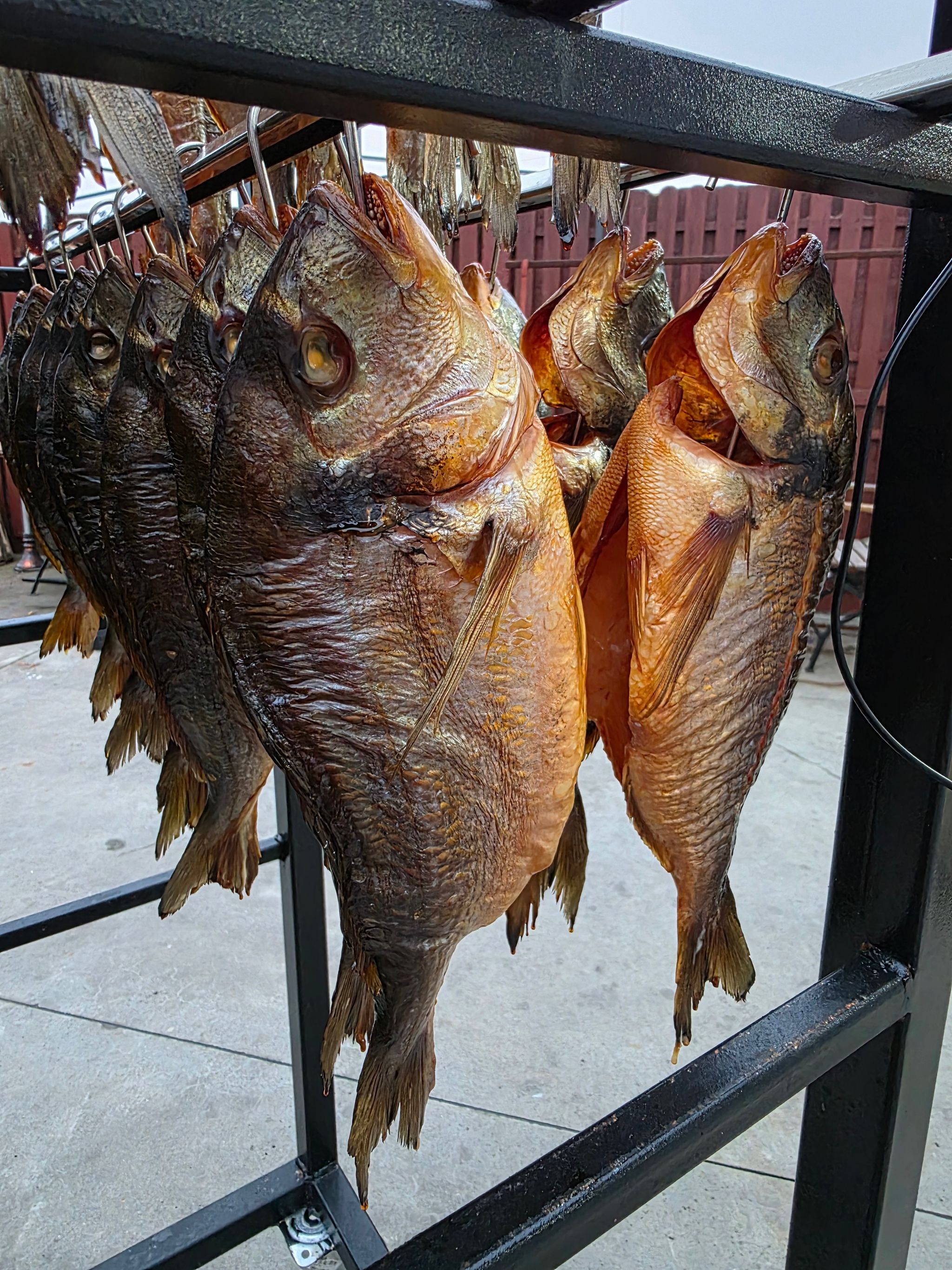 Dorada Afumată - 130 lei / Kg_1