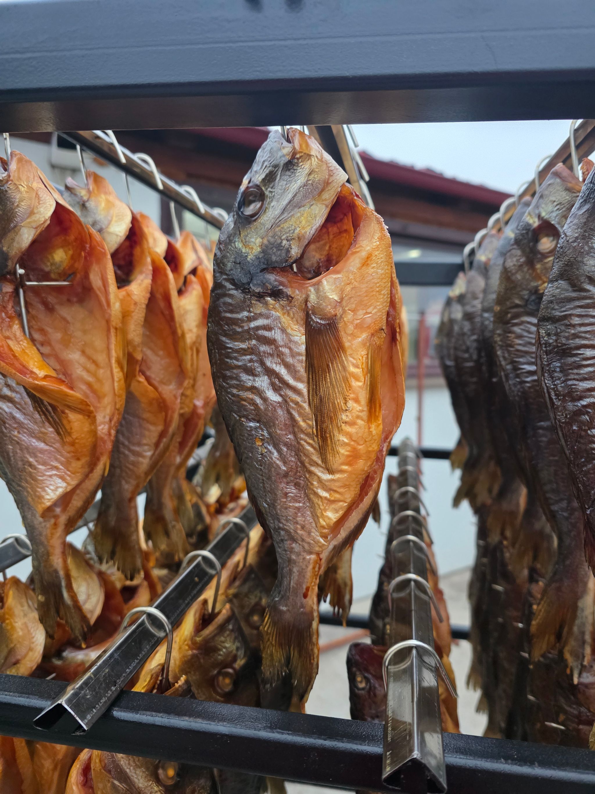 Dorada Afumată - 130 lei / Kg_0