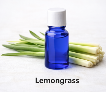Lemongrass essential oil_0