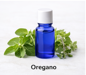 Oregano essential oil_0